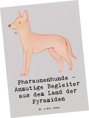 Produktbild von Mr. & Mrs. Panda Postkarte Pharaonenhund Freunde - Grau Pastell - Geschenk, Grußkarte, Hundeerziehung, einzelkarte, treuer Begleiter, Fotokarte, Hund, Postkarten