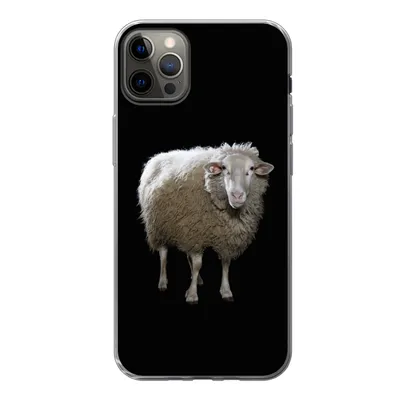 Produktbild von MuchoWow® Handyhülle Schutzhülle Hülle für iPhone 13 Pro Max Schafe - Nutztiere - Schwarz Silikon Softcase Handy Hülle - Mobiltelefon