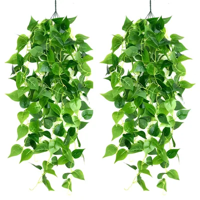 Image de Deux plantes suspendues artificielles, une guirlande de lierre et d'aneth vert pour un mariage, comme décoration murale pour la chambre à coucher, plantes suspendues artificielles avec du lierre artificiel