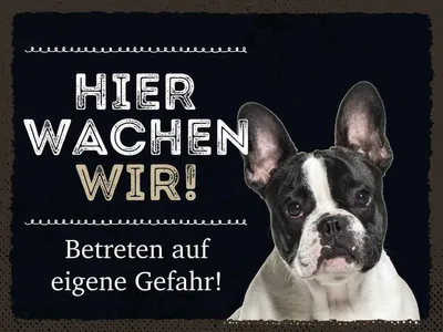 Produktbild von vianmo Holzschild 30x40 cm Tiere hier wachen wir eigene Gefahr Tier Haustier