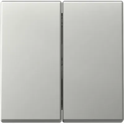 Obrázok produktu pre GIRA Wippe 3295600 2f Sys.55 es (3295600)