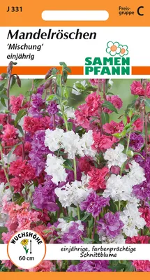 Artikelbild 1 von 'Mandelröschen' aus der Kategorie Blumensamen