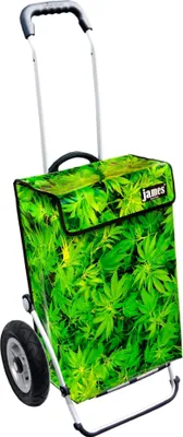 Produktbild von James Einkaufstrolley - BUSHDOCTOR - stabiler Einkaufswagen mit individuellem Design - einfarbig: grün in Ausführung: Royal-Luftraeder