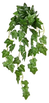 Produktbild von UNUS Deko Kunstpflanze Efeu hängend 55 cm als 2er Set