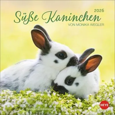 Produktbild von Süße Kaninchen Postkartenkalender 2026