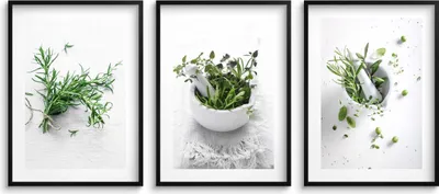 Produktbild von Küchenwandposter Kräuter Zweige Küchendeko 3x 30x40