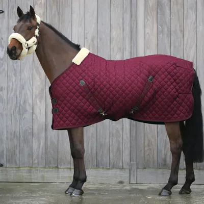 Image de Kentucky Horsewear Couverture d'écurie en fourrure de lapin artificielle 400g