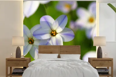 Produktbild von MuchoWow® Fototapete für Wohnzimmer oder Schlafzimmer Wandtapete Vinyl Motivtapete Blumen - Garten - Lila - 240x240 cm - Schlafzimmer-Tapete
