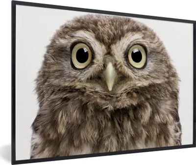 Produktbild von MuchoWow® Gerahmtes Poster Eule - Eule - Porträt - Braun - Vogel - Jungen - Mädchen 30x20 cm - Poster mit Schwarzem Bilderrahmen Wandposter Rahmen Foto Bilder - Kunstdruck - Bild-Poster