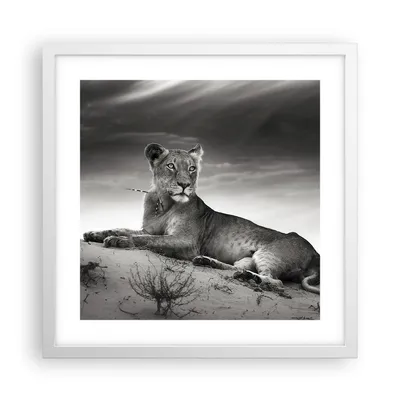 Produktbild von Gerahmtes Poster - Weißer Rahmen - Tierwelt weiblich katze Tier - 40x40 cm - Wand Bild - Wanddeko - Wandbilder - Wandposter - Bilderrahmen - Bilder - Kunstdruck - Wandbild - P2WAC40x40-3165