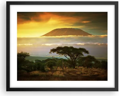 Produktbild von Gerahmtes Poster - Schwarzer Rahmen - Safari Tierwelt Berg Kenia - 50x40 cm - Wand Bild - Wanddeko - Wandbilder - Wandposter - Bilderrahmen - Bilder - Kunstdruck - Wandbild - P2BAA50x40-3170