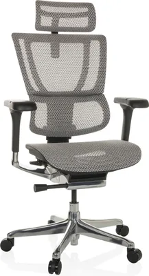 Produktbild von hjh OFFICE Luxus Chefsessel ERGOHUMAN SLIM GEN2 Ergonomischer Bürostuhl mit Armlehnen (höhenverstellbar) Netzstoff Drehstuhl für Büro, Zuhause
