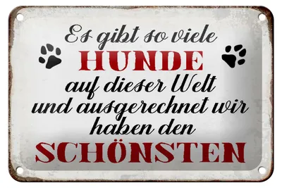 Produktbild von Blechschild Spruch 18x12cm es gibt so viele Hunde Schild