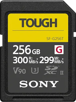 Image de SONY Carte SD Tough 256 Go R300/W299 SF-G256T/T1