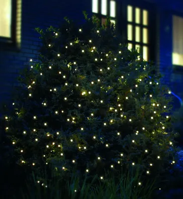 A bush decorated with warm white LED lights at night, with a house in the background.