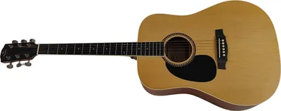 Zdjęcie produktu dla Prodipe Guitars LH SD25