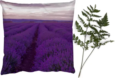 Produktbild von MuchoWow® Zierkissen Sofakissen Wohnzimmer Dekokissen 50x50 cm Lavendel - Lila - Blumen - Natur - Komfort - Sofakissen