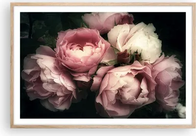 Produktbild von Gerahmtes Poster - Rahmen in heller Eiche - Pfingstrose Blume - 91,5x61 cm - Wand Bild - Wanddeko - Wandbilder - Wandposter - Bilderrahmen - Bilder - Kunstdruck - Wandbild - P2NAA91x61-3930