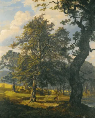 Produktbild von Johan Christian Dahl Kunstdruck Bild - Dyrehave Bei Kopenhagen, 1853 (50 x 40 cm)