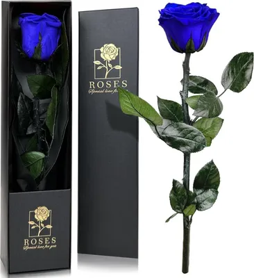 Image de Coffret Cadeau Rose Éternelle Bleu - Infinity Roses Cadeaux pour Femmes, Fête des Mères, Anniversaire