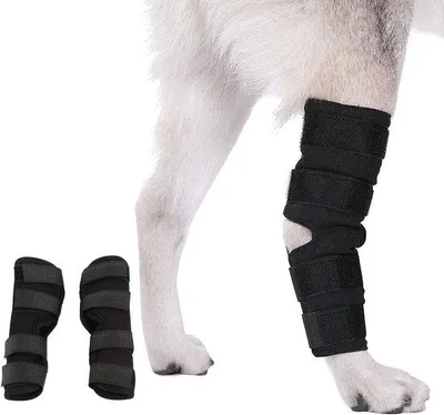 Obrázek produktu pro Chrániče kolen pro domácí mazlíčky | Chrániče loktů a bandáže na kolena pro psy | Pro přední a zadní končetiny | Bandáže na nohy a podpěry pro přední končetiny