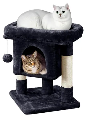 Produktbild von Katzenkratzbaum 60 cm mit Katzenhöhle, Plüsch und Sisal, Spielbaum für kleine Katzen, Schwarz