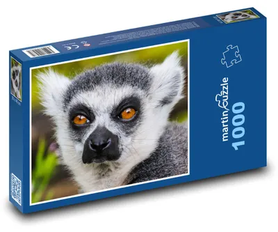 Produktbild von Puzzle 1000 Lemur mit auffälligen Augen - martinpuzzle