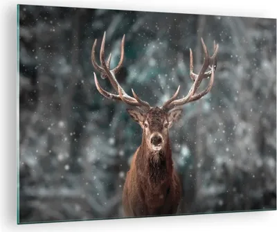 Produktbild von Bilder auf glas - Einteilig - Hirsch Hirsch Winter - 70x50cm - Glasbilder - Wandbilder - Bilder - zum Aufhängen bereit - Wanddekoration aus Glas - Glas Bilder - Wandbild auf Glas - GAA70x50-4998