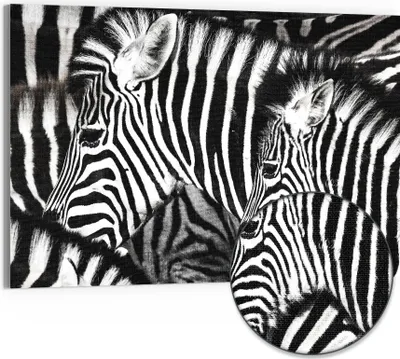 Produktbild von DEQORI Hybrid Leinwand Bild 90x60 cm 'Streifenharmonie' Wandbild Glas flach modern