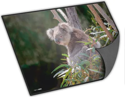 Produktbild von itenga Schreibunterlage Koala 400 x 530 mm
