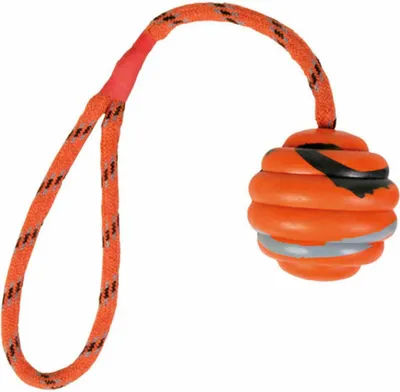 Obrázek produktu pro TRIXIE 33724, Pes, Míč, Oranžová, Guma, 6 cm, 300 mm