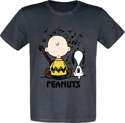 Produktbild von Peanuts T-Shirt Herren Charlie Brown und Snoopy schwarz XXL