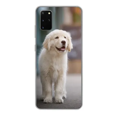 Produktbild von MuchoWow® Handyhülle Schutzhülle Hülle für Samsung Galaxy S20 Plus Ein Golden Retriever Welpe läuft auf dem Bürgersteig Silikon Softcase Handy Hülle - Hartschale