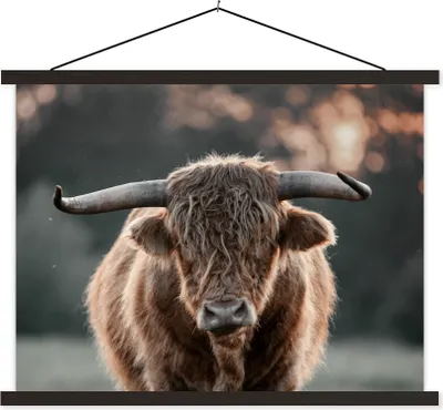 Produktbild von MuchoWow® Textilposter Schottisches Hochlandrind - Kuh - Natur 120x90 cm mit schwarzem Rahmen - Aufhänger für Poster