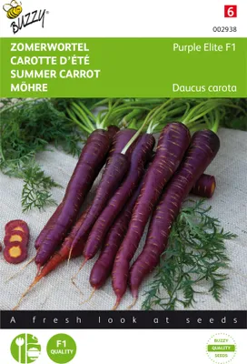 Produktbild von Möhren Purple Elite F1 | Möhrensamen von Buzzy Seeds [MHD 07/2024]
