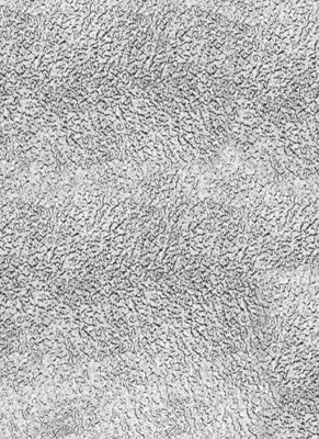 Immagine prodotto di Alberts 468354 Lastra strutturata, grezza goffrata, alluminio, naturale, 200 x 1000 x 1 mm