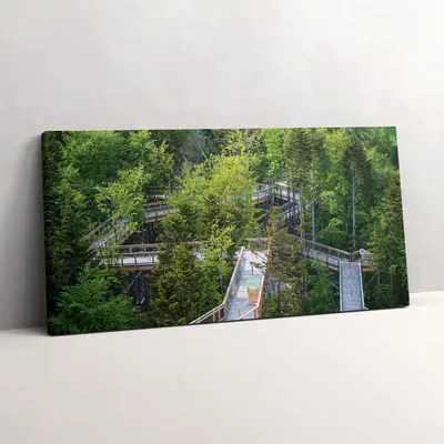 Produktbild von Weg in Krynica Zdrój – Leinwandbild Wandbild – 120x60 cm – Leinwandbilder – Wandbilder – Schlafzimmer – Flur