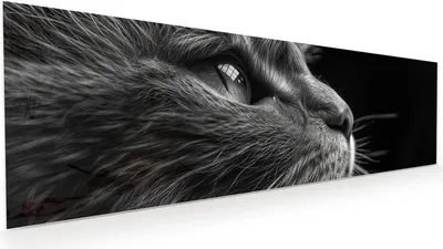 Produktbild von Glasbild 120x40cm in XXL für Wohnzimmer, Schlafzimmer Motiv Nahaufnahme Katze
