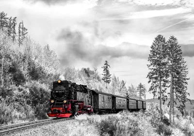 Produktbild von Fototapete Vlies 13010V4 Dampflokomotive 2-tlg. 254 x 184 cm