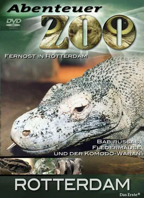 Produktbild von Abenteuer Zoo