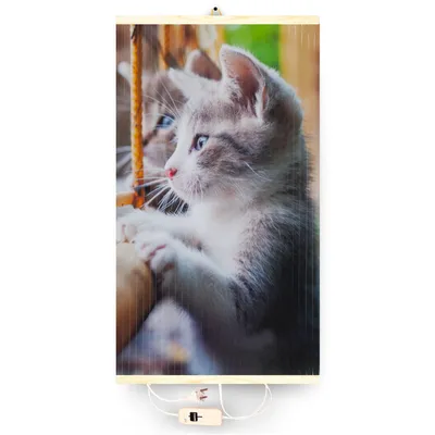 A close-up of a kitten looking out a window, printed on a heating panel.