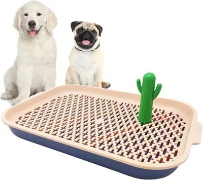 Produktbild von Famanu Hundetoilette Wechselbar Trainingsbinnentoilet Haustier Kunststoff 2 Größen M/L (M, Rosa)