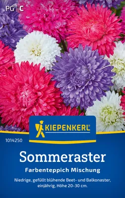 Produktbild von Kiepenkerl Sommerastersamen Farbenteppich 40 Pflanzen
