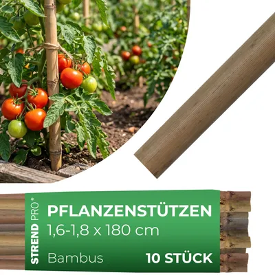 Produktbild von Stab Garden KBT 1800/16-18 mm, Pack. 10 Stk., Bambus, Stützstab für Pflanzen