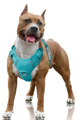 Produktbild von BARKBAY Hundegeschirr, kein Ziehen, reflektierend, mit Frontclip und Griff zur e