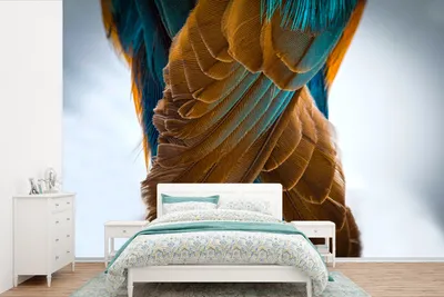 Produktbild von MuchoWow® Fototapete für Wohnzimmer oder Schlafzimmer Wandtapete Vinyl Motivtapete Eisvogel - Federn - Tiere - 525x350 cm - Das Hintergrundbild
