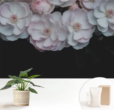 Produktbild von Fototapete  - 152x104 cm - Tapete - Wandtapete - Wandbilder  - Dekofolie - Tapete Folie - Wand - Dekoration - Wohnzimmer - Ein zarter Blumenstrauß
