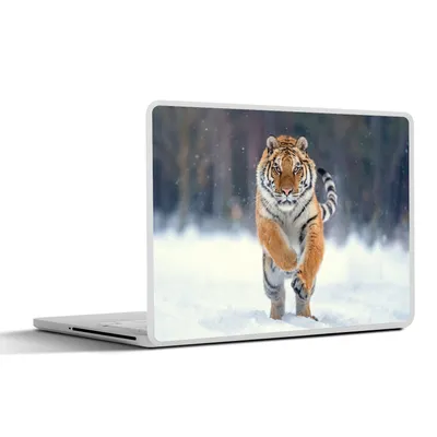 Produktbild von MuchoWow® Laptop Aufkleber Sticker Cover Tiger - Landschaft - Schnee - Tiere 25x18 cm - Laptop-Deko