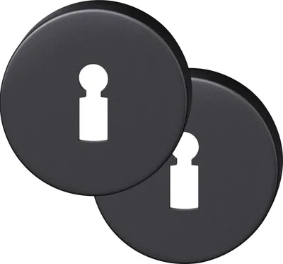 Produktbild von FSB Rosette BB rund - Buntbartrosette 12173500002 - Lochung BB, Aluminium schwarz matt - 1 Paar