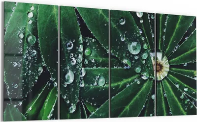 Produktbild von DEQORI Glasbild Echtglas 4x30x60 cm 'Wasserperlenverzierung' Wandbilder XXL groß